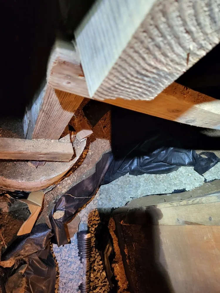 Top-rated residential landscaping experts serving Sebastopol, CA - BMHD Services