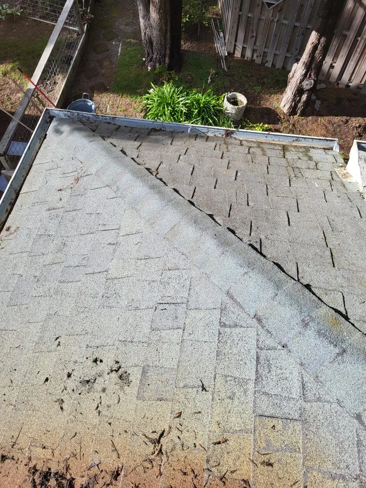 Trusted landscape installation experts serving Sebastopol, CA - BMHD Services