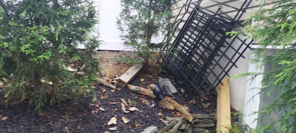 Local yard cleanup service experts serving Shoreham, NY - BMHW