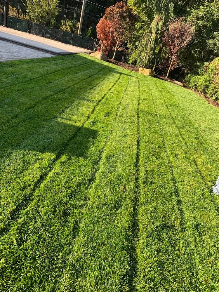 Affordable outdoor landscaping in Shoreham, NY by BMHW