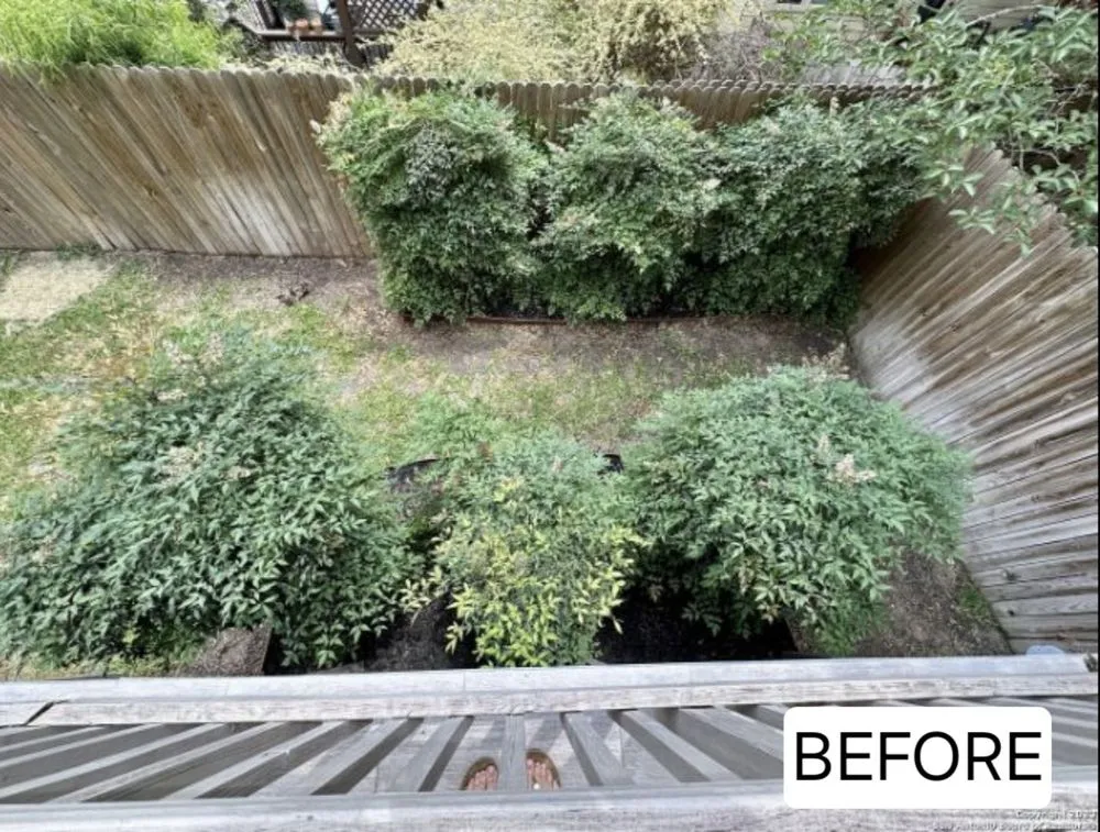 Trusted outdoor landscaping for beautiful yards in San Antonio, TX by BMK General Services