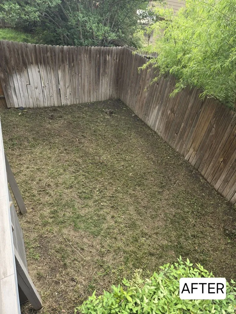 Professional residential landscaping experts serving San Antonio, TX - BMK General Services