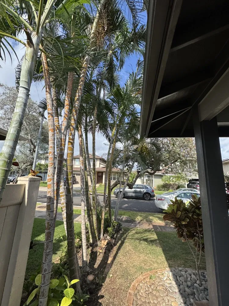Professional yard cleanup service for beautiful yards across Waianae, HI - BML Services
