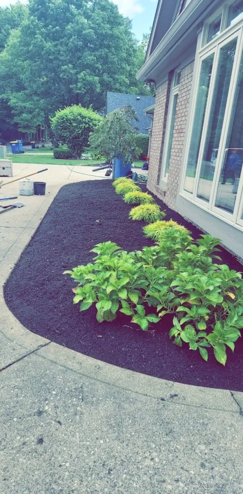 Affordable yard maintenance experts serving Fortville, IN - Bmows Lawn And Landscape