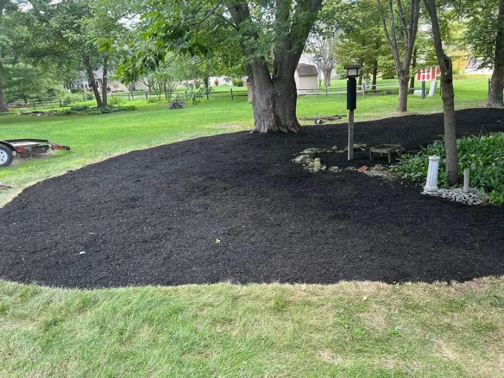 Local yard cleanup service for year-round maintenance across Fortville, IN - Bmows Lawn And Landscape