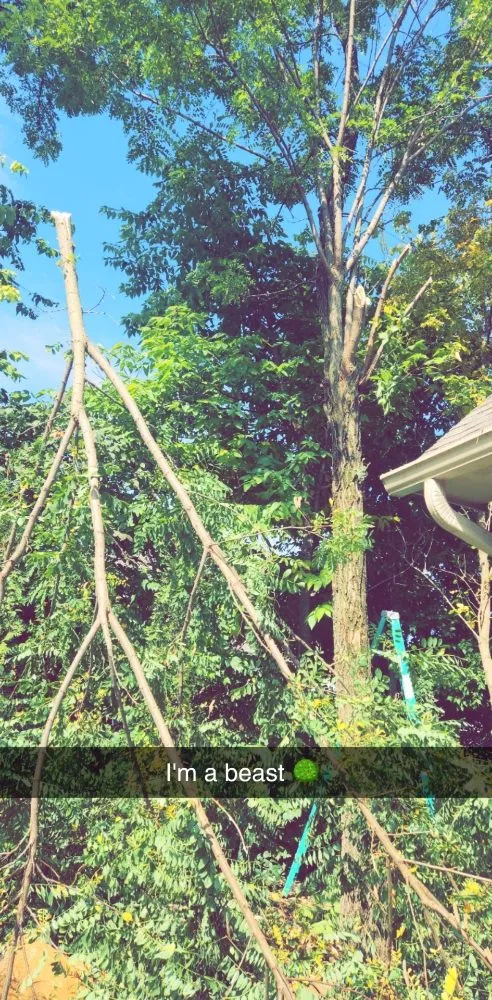 Professional lawn mowing service for year-round maintenance across Fortville, IN - Bmows Lawn And Landscape