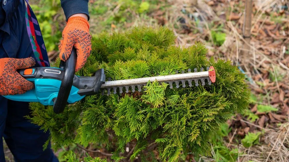 Top-rated residential landscaping for outdoor upgrades in Livingston, TX by BM's Lawn Barbers