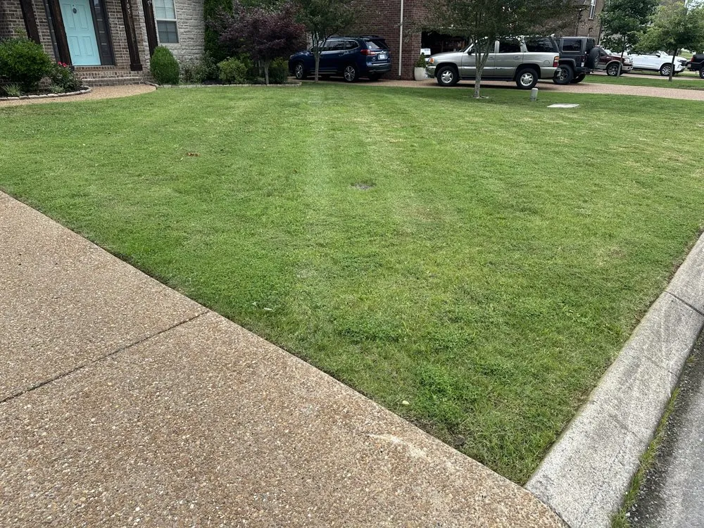 Professional landscape installation for residential properties in Mt Juliet, TN by BM's Lawn Barbers Services