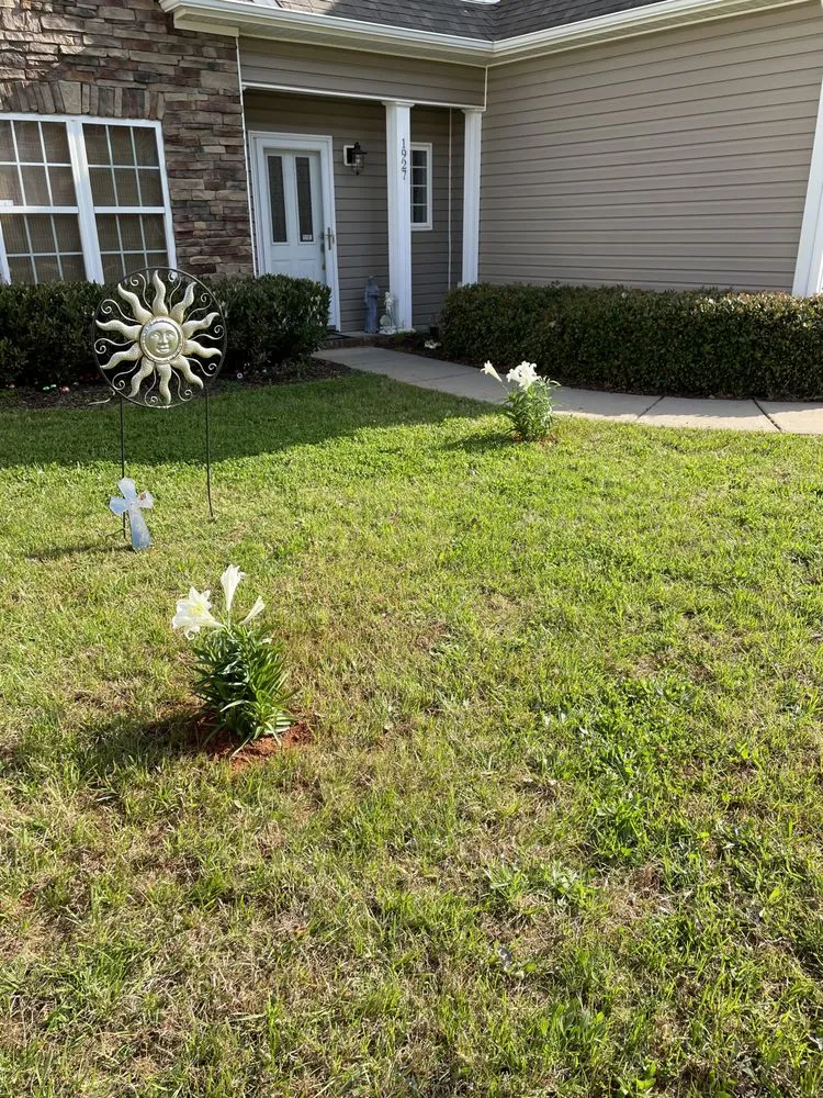 Reliable landscaping services near you across Winston-Salem, NC - BMS