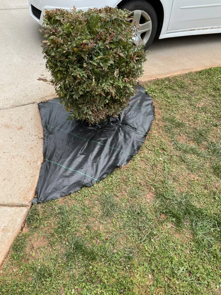 Trusted outdoor landscaping in Winston-Salem, NC - BMS