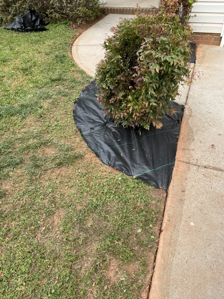 Top-rated garden landscaping in Winston-Salem, NC - BMS