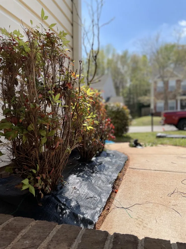 Professional yard maintenance for residential properties across Winston-Salem, NC - BMS