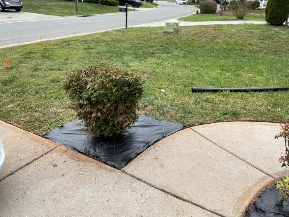 Top-rated landscaping services with custom design in Winston-Salem, NC by BMS