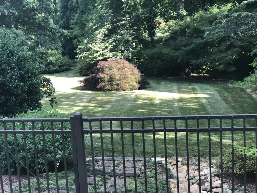 Local yard maintenance for outdoor upgrades across Charlotte, NC - BMW’s Landscaping and Lawn Maintenance