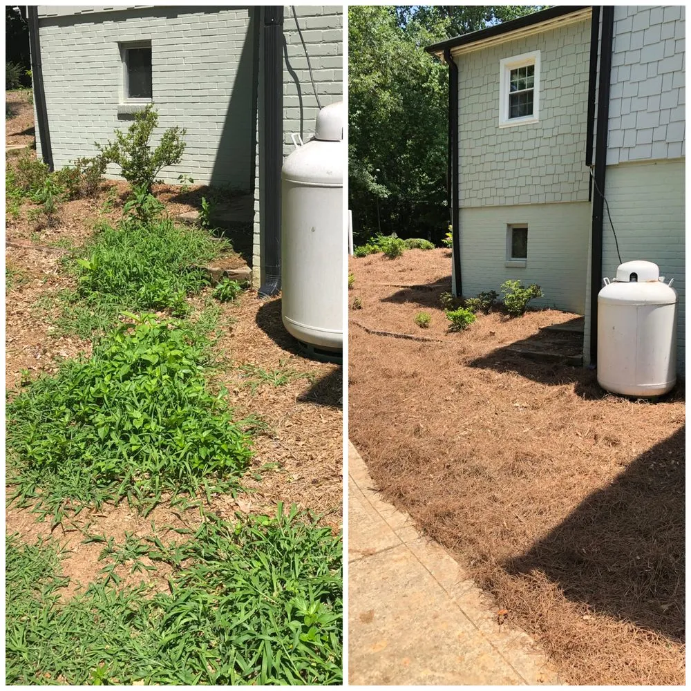 Professional yard cleanup service for outdoor upgrades in Charlotte, NC by BMW’s Landscaping and Lawn Maintenance