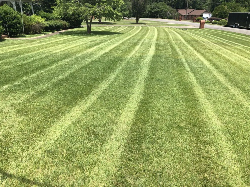 Affordable lawn care service for year-round maintenance across Charlotte, NC - BMW’s Landscaping and Lawn Maintenance