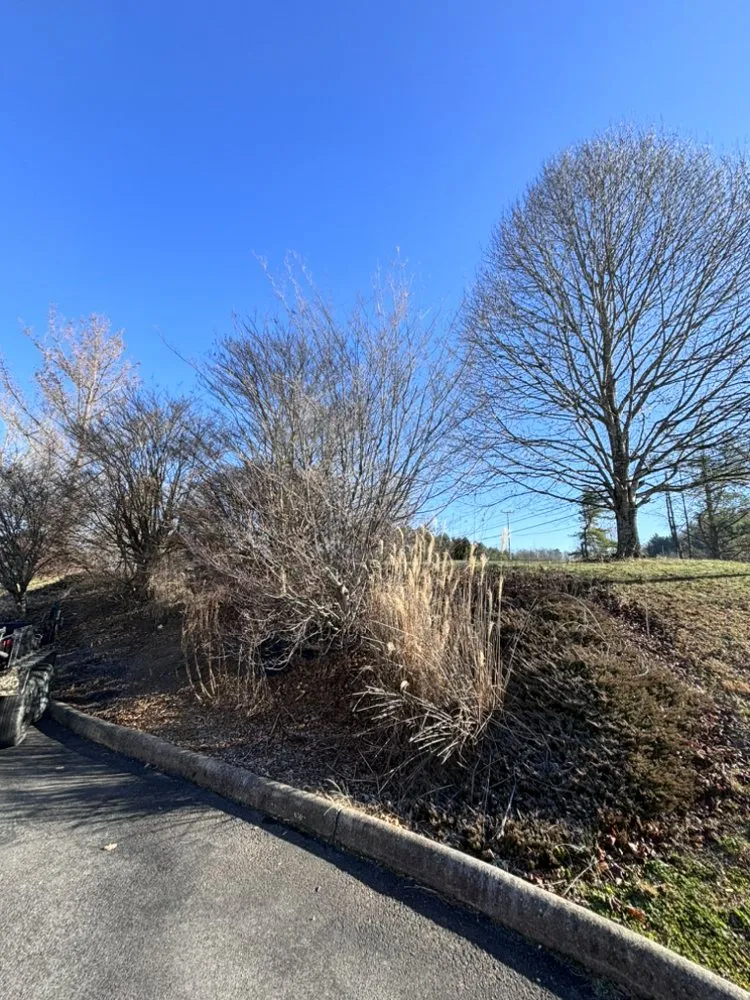 Reliable yard maintenance in Abingdon, VA by B&N Lawn And Tree Service