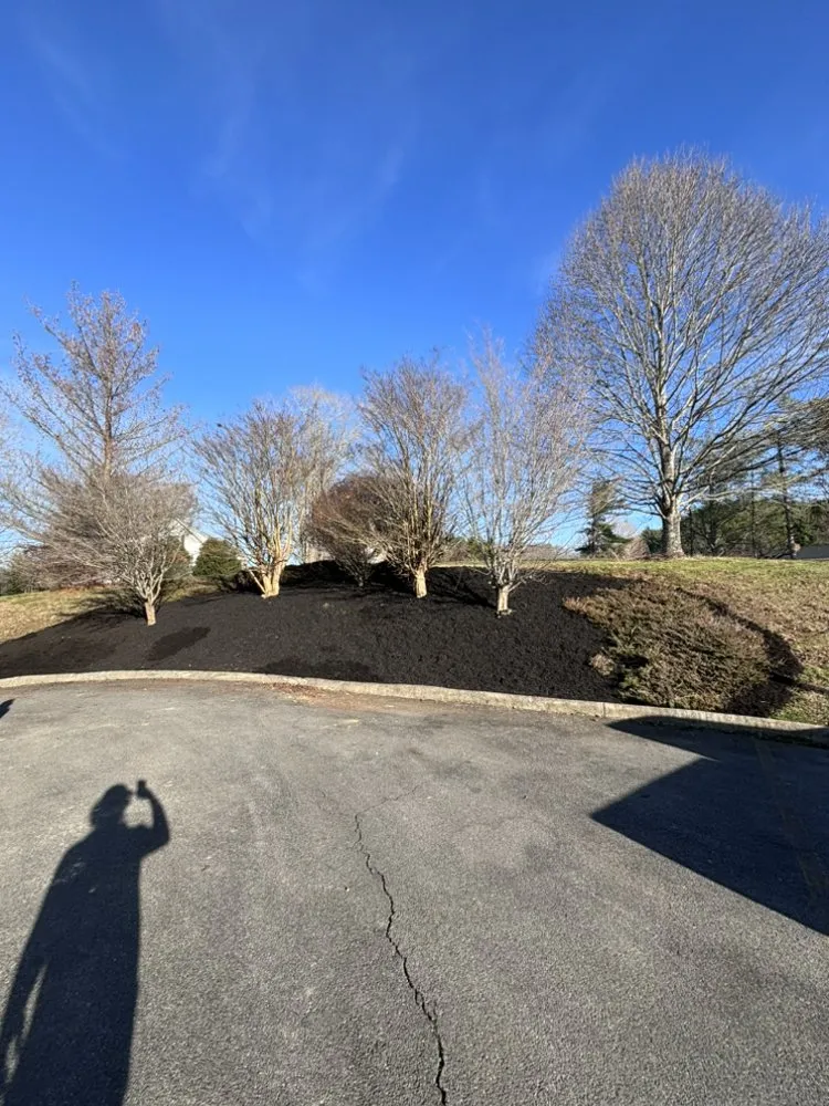 Local landscape design in Abingdon, VA - B&N Lawn And Tree Service