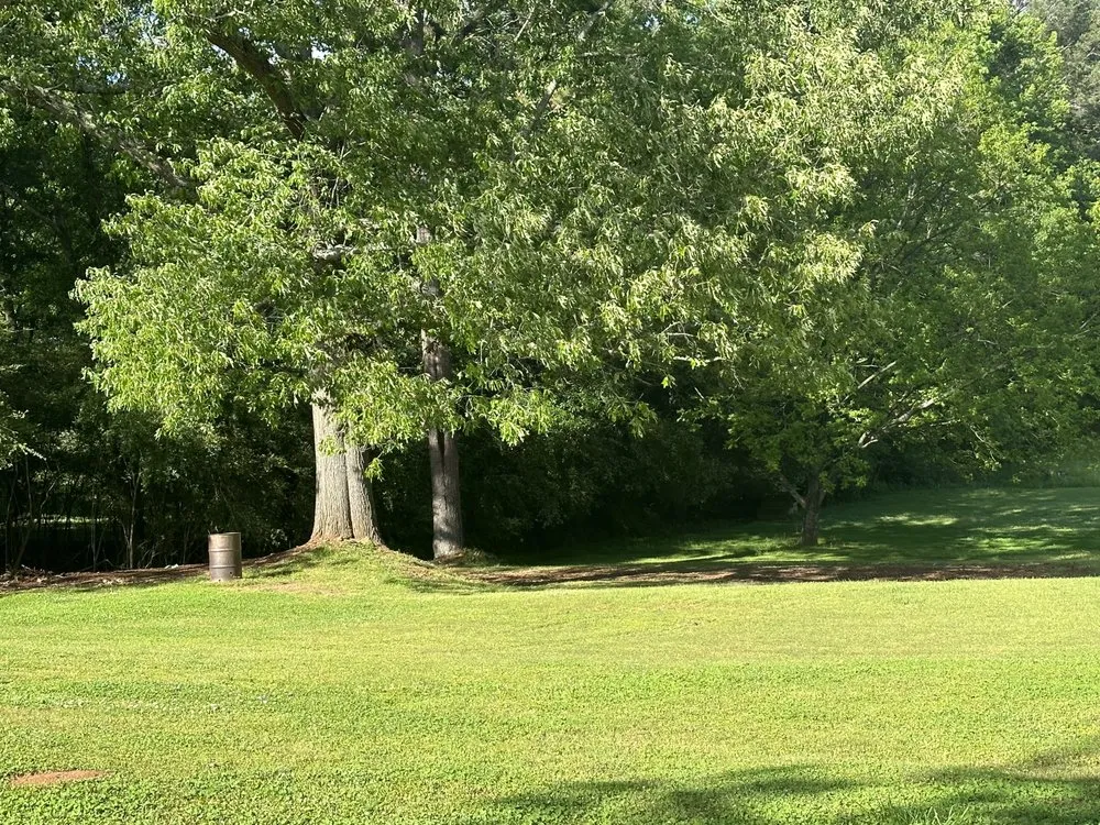 Custom yard cleanup service near you across Fayetteville, GA - B&N Lawn Maintenance