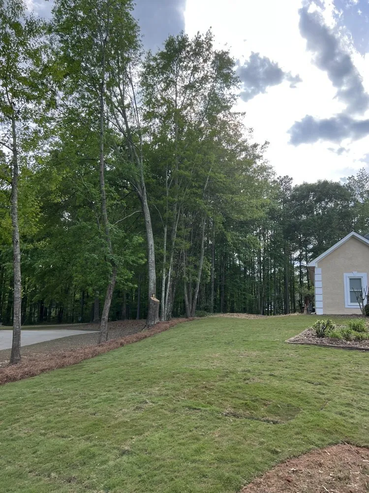 Custom landscaping services in Fayetteville, GA by B&N Lawn Maintenance