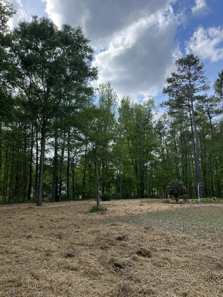 Affordable residential landscaping near you across Fayetteville, GA - B&N Lawn Maintenance