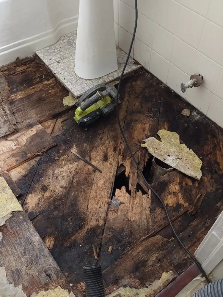 Reliable landscape design in Norman, OK by BN the Handyman