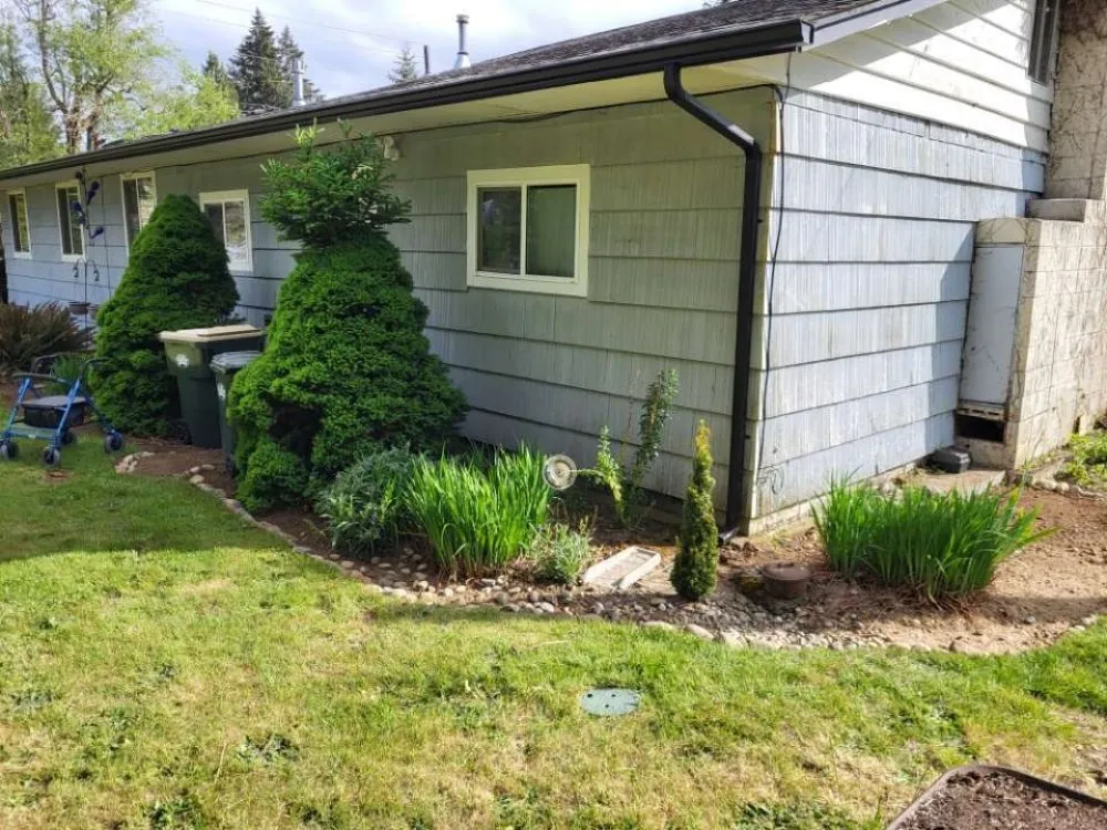 Professional landscape installation in Olympia, WA by BNA Landscapes