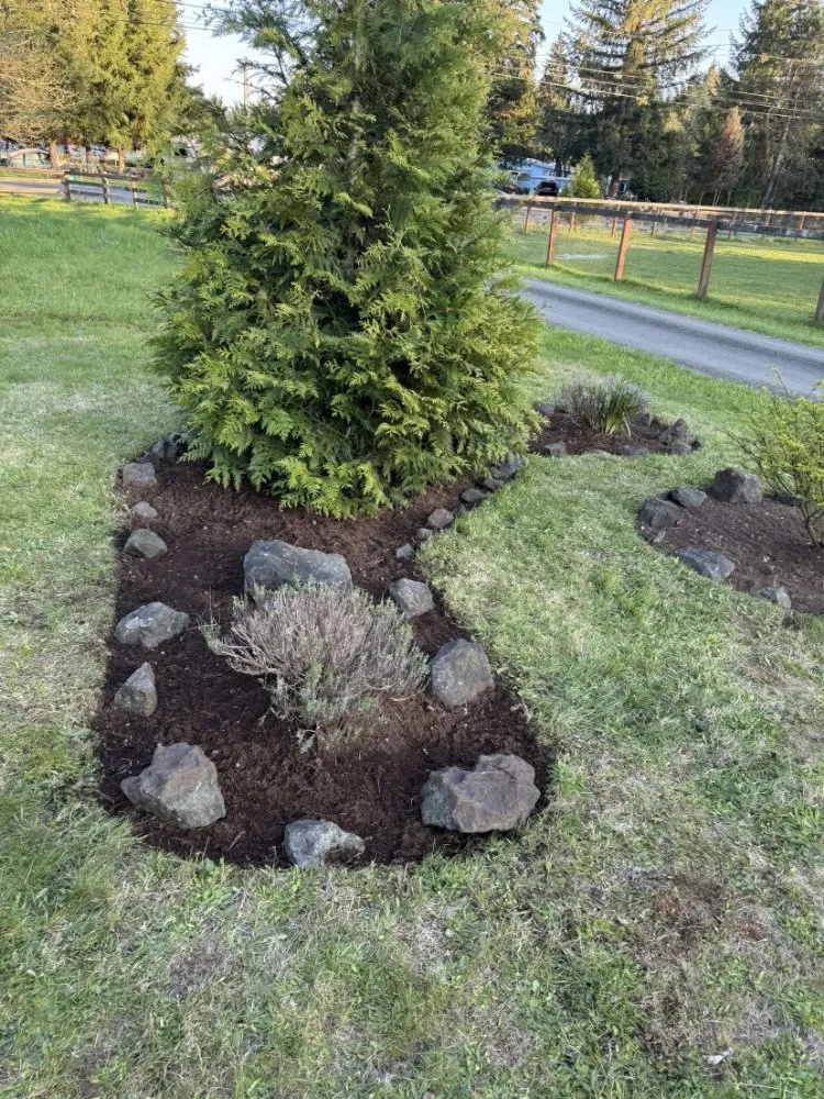 Professional landscaping services in Olympia, WA - BNA Landscapes