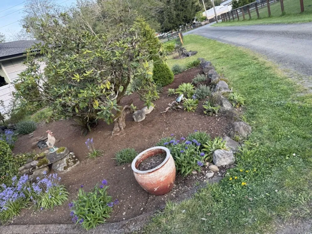 Professional lawn mowing service in Olympia, WA - BNA Landscapes