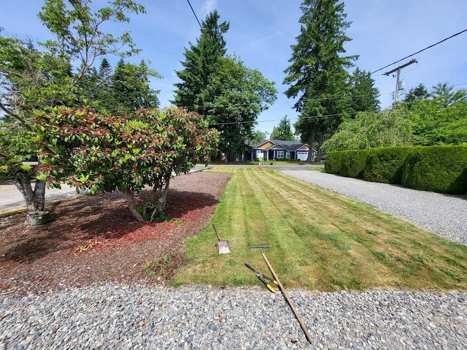Trusted yard cleanup service for beautiful yards in Olympia, WA by BNA Landscapes