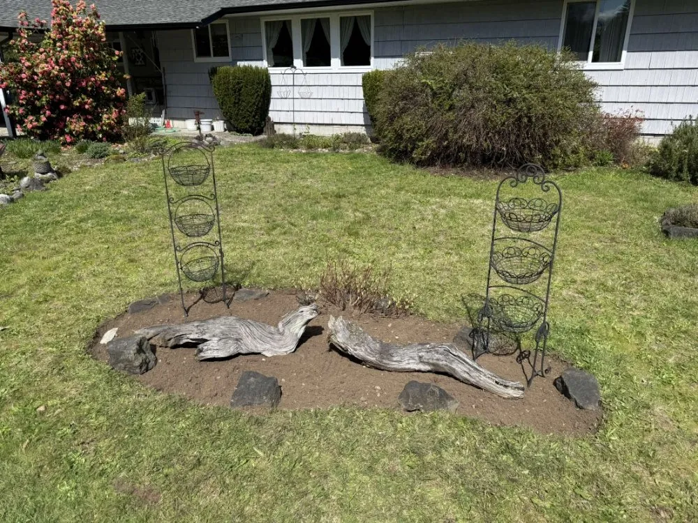 Top-rated yard cleanup service with custom design in Olympia, WA by BNA Landscapes