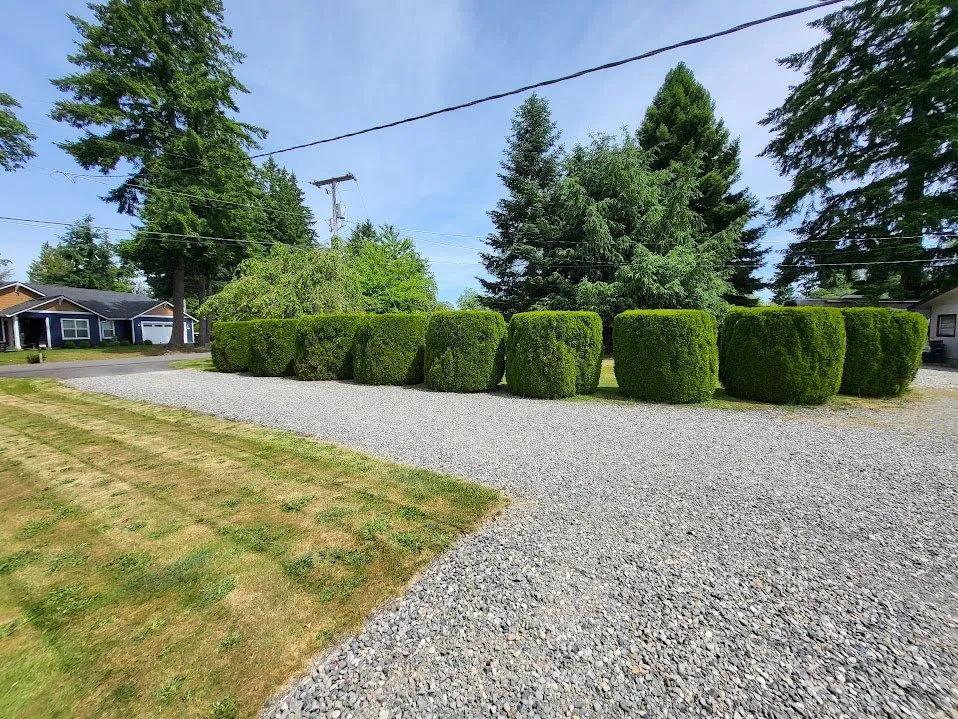 Professional lawn mowing service for residential properties in Olympia, WA by BNA Landscapes