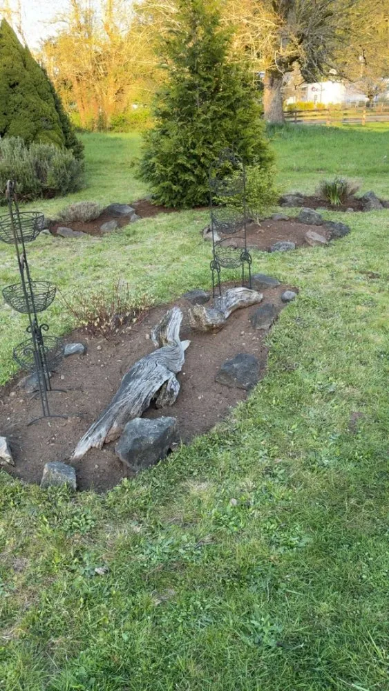 Top-rated yard cleanup service experts serving Olympia, WA - BNA Landscapes