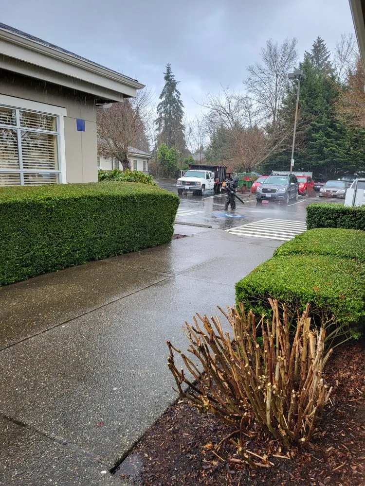 Custom lawn mowing service for year-round maintenance in Olympia, WA by BNA Landscapes