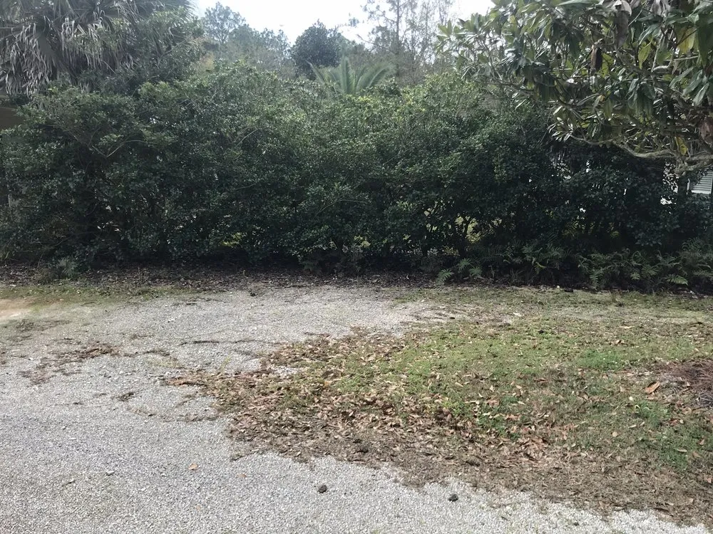 Professional lawn care service in Gulf Shores, AL by BNB Construction Service