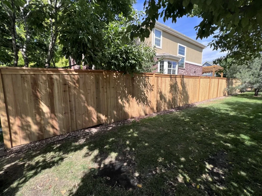 Top-rated yard cleanup service in Denver, CO by BNB Fencing & Services