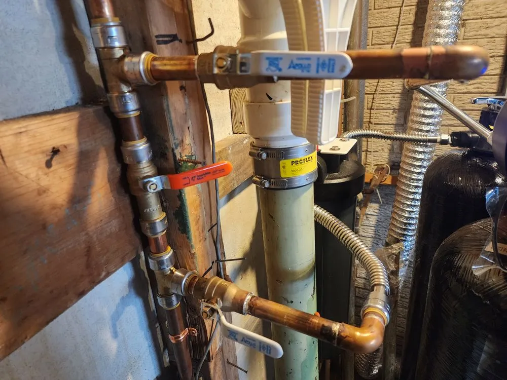 Trusted yard cleanup service for homes in Sauk Village, IL by BnB Home Maintenance