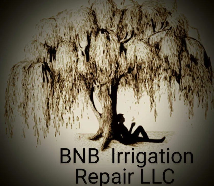 Custom residential landscaping in Mauldin, SC by BnB Irrigation