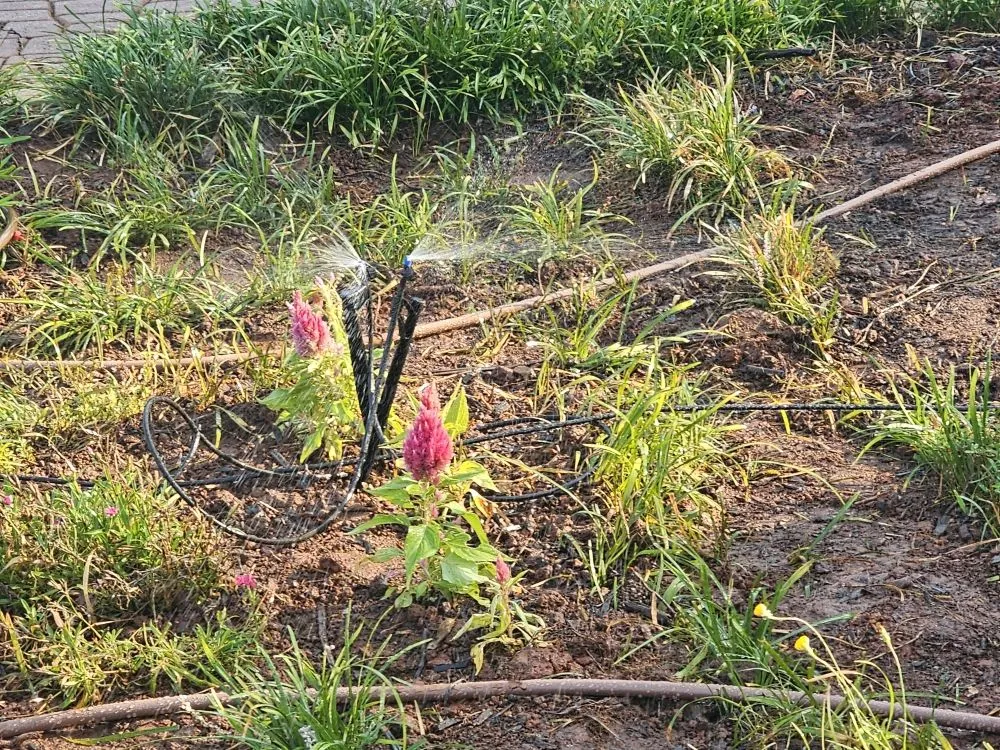 Local yard cleanup service in Mauldin, SC by BnB Irrigation