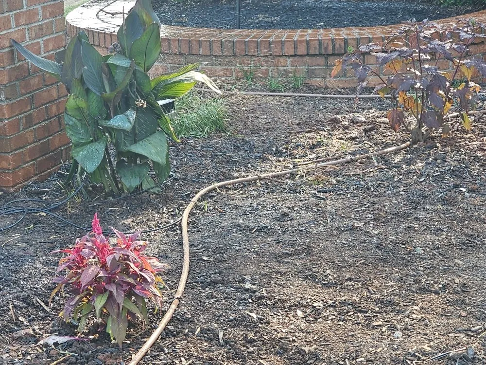 Affordable landscape design experts serving Mauldin, SC - BnB Irrigation