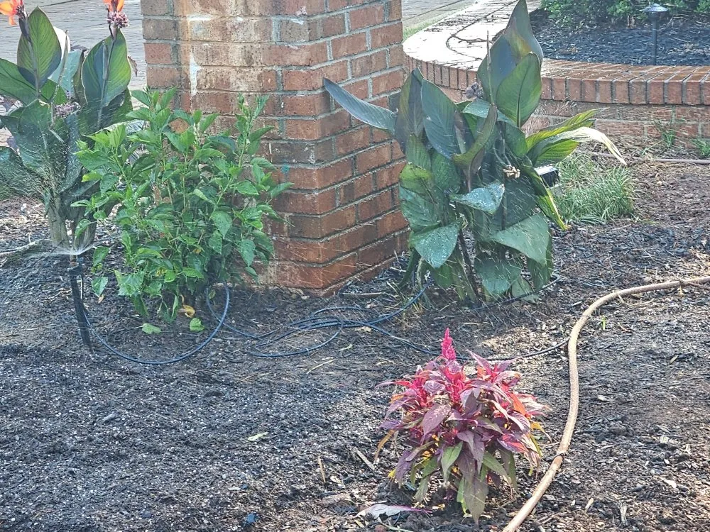 Trusted outdoor landscaping in Mauldin, SC - BnB Irrigation
