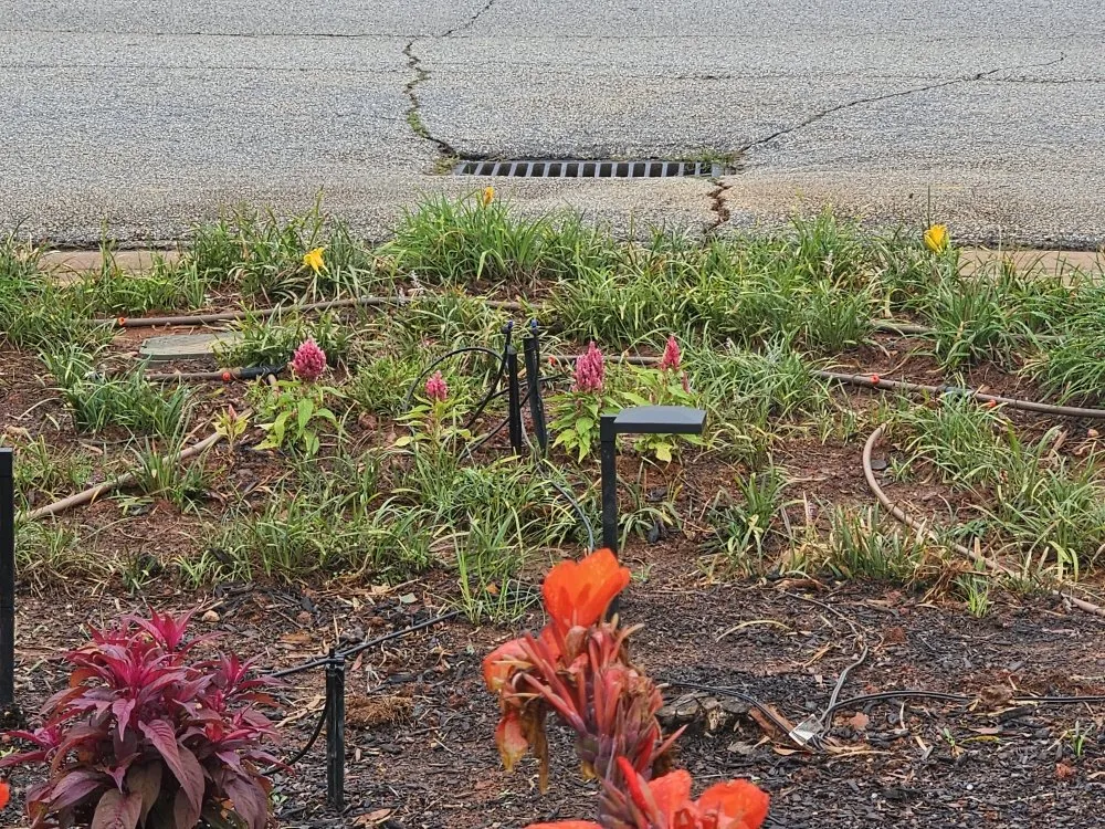 Professional residential landscaping near you in Mauldin, SC by BnB Irrigation