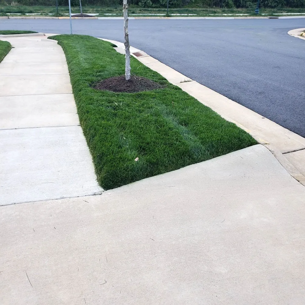 Reliable landscape installation in Fredericksburg, VA - Bnb Lawn Care