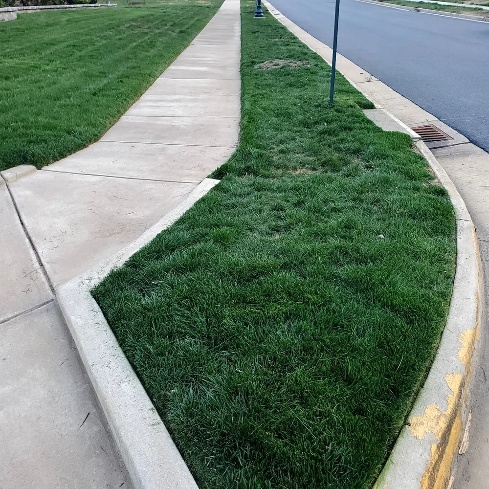 Top-rated landscaping services experts serving Fredericksburg, VA - Bnb Lawn Care