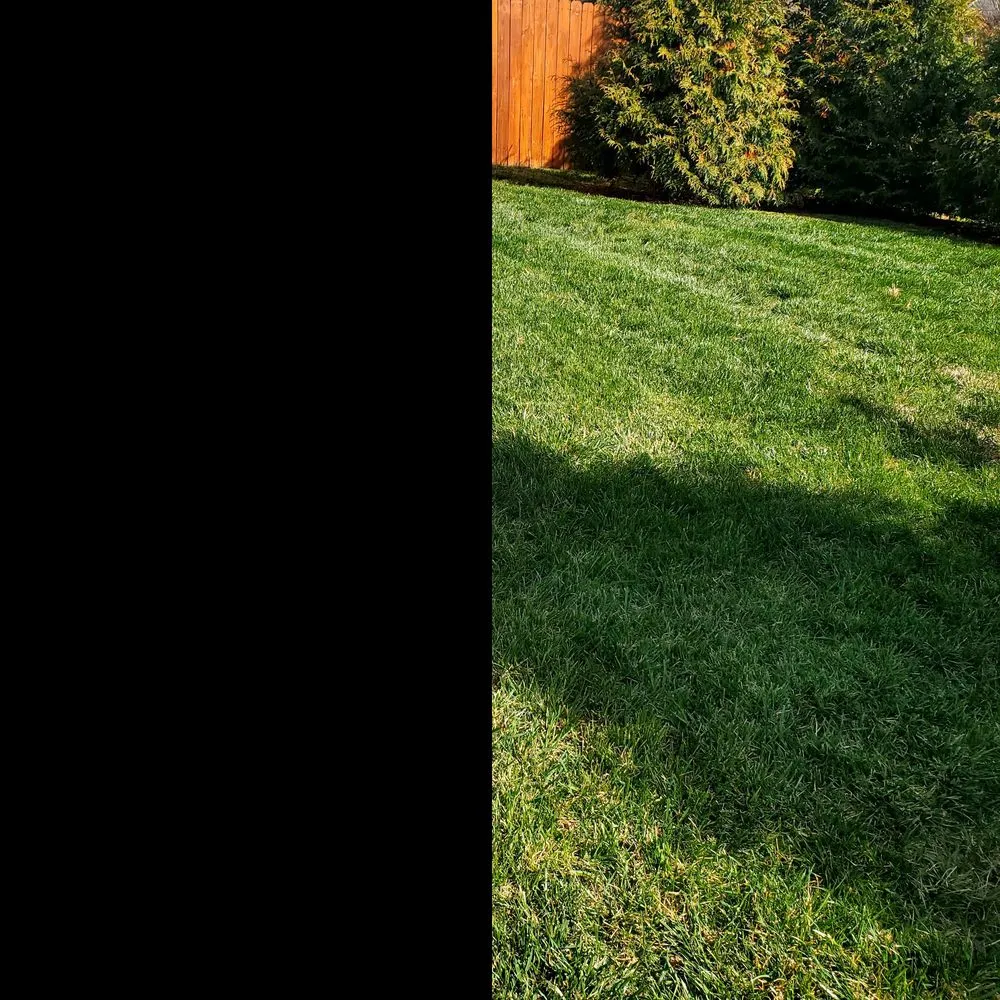 Professional residential landscaping in Fredericksburg, VA by Bnb Lawn Care