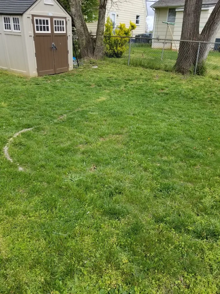 Professional landscape installation in Fredericksburg, VA - Bnb Lawn Care