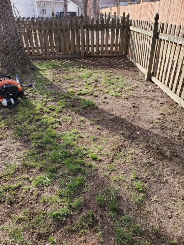 Local yard maintenance in Fredericksburg, VA - Bnb Lawn Care