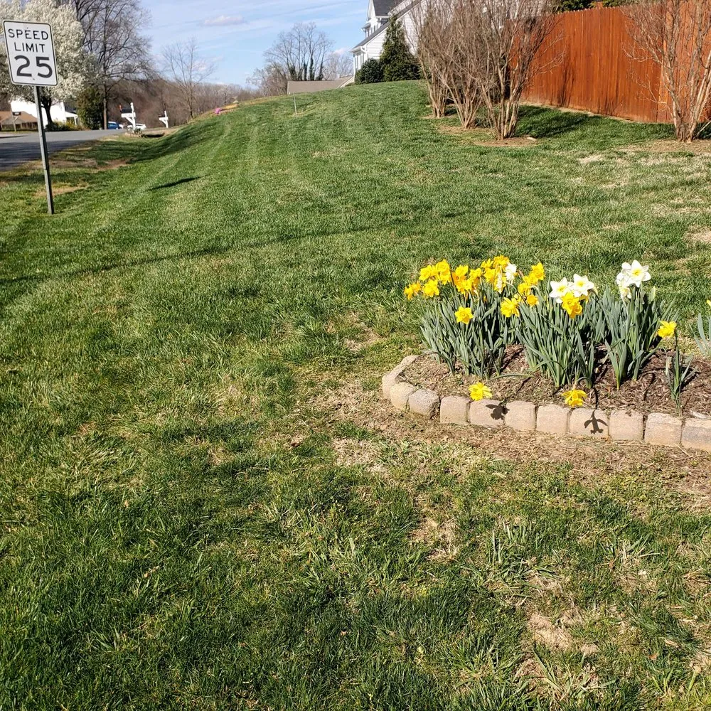 Local lawn care service for year-round maintenance across Fredericksburg, VA - Bnb Lawn Care