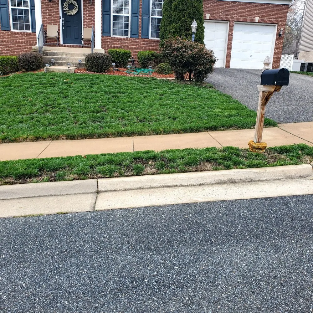 Trusted yard cleanup service for homes across Fredericksburg, VA - Bnb Lawn Care