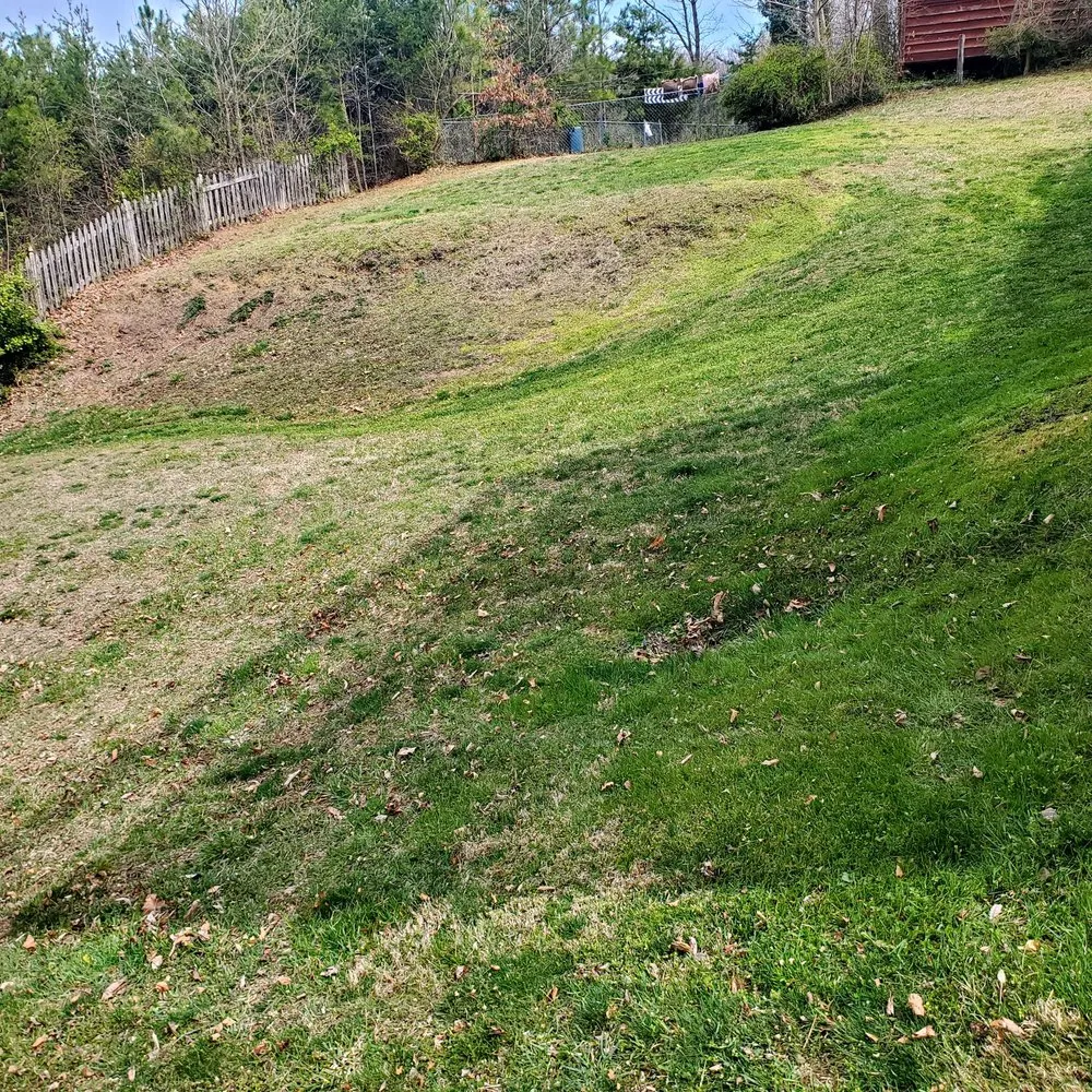 Custom landscape design for outdoor upgrades across Fredericksburg, VA - Bnb Lawn Care